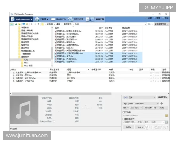壹号下载软件支持的文件格式与兼容性详细介绍